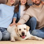 Most Intelligent Dogs for Families